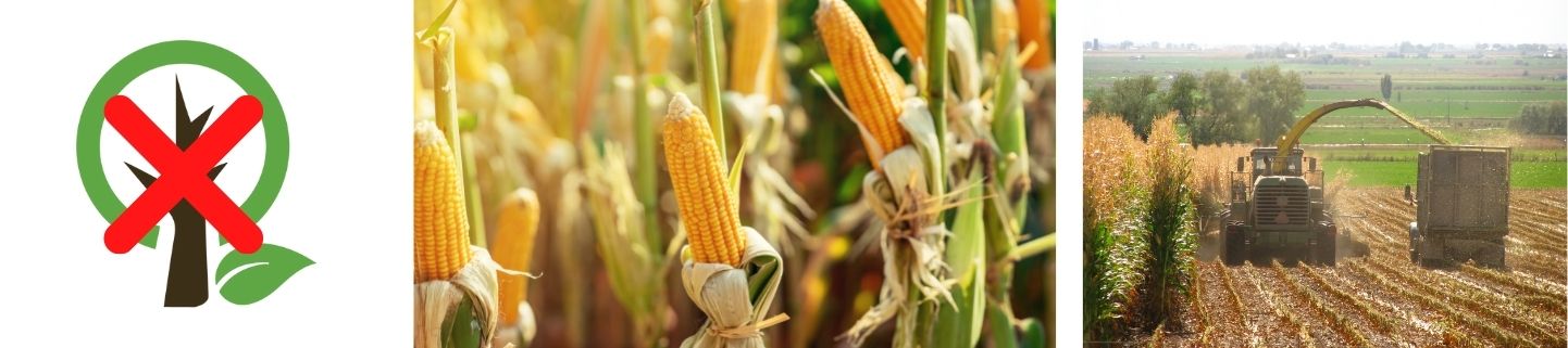 US bioplastics require corn for manufacturing