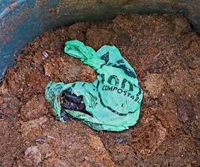 compostable bag in dirt