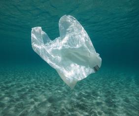plastic bag in water